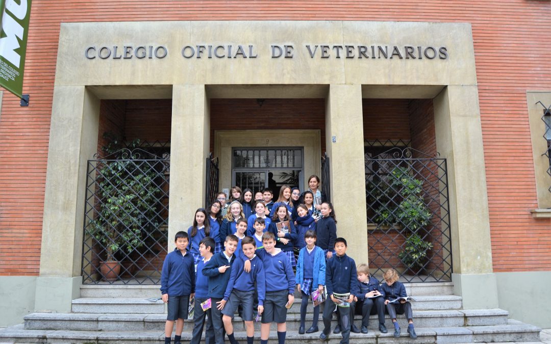 Colegio Sagrada Familia – FEC Badajoz