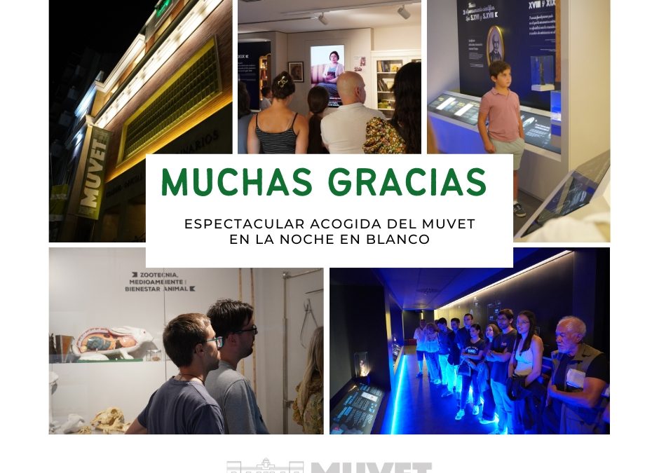 Éxito del MUVET en la Noche en Blanco de Badajoz